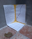 relato-de-una-excavacion-ajena3