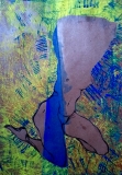 fragmento