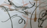 notación coreográfica 1